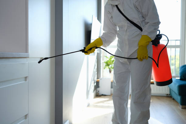 Professional Mold Removal in Lakewood Park, TN